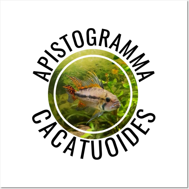 APISTOGRAMMA CACATUOIDES Wall Art by MaggusK